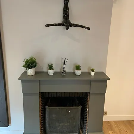 La Grande Duplex- Rue Vasselot - Calme - Standing Five * Rennes